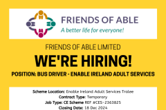 Bus Driver - Enable Ireland Adult Services - 1