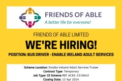 Bus Driver - Enable Ireland Adult Services